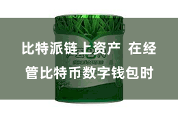 比特派链上资产  在经管比特币数字钱包时